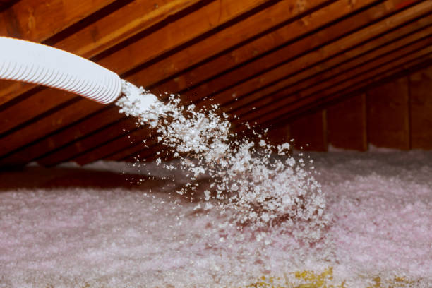 Best Insulation Repair Services  in Coal City, WV