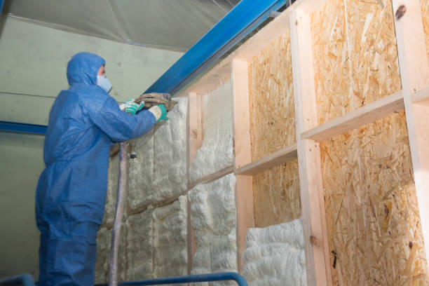 Best Wall Insulation Contractor  in Coal City, WV