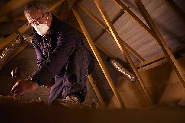 Best Crawl Space Insulation  in Coal City, WV